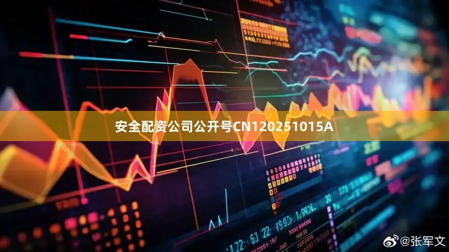 安全配资公司公开号CN120251015A
