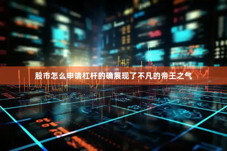 股市怎么申请杠杆的确展现了不凡的帝王之气