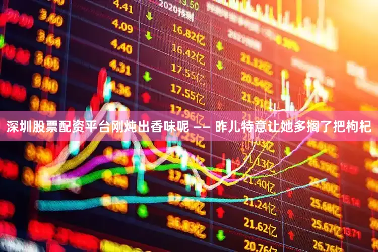深圳股票配资平台刚炖出香味呢 —— 昨儿特意让她多搁了把枸杞